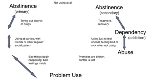 substance abuse quizlet|6.2.2 quiz practicing abstinence.